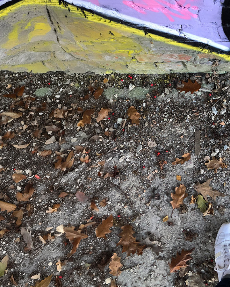 Farbe bekennen &ndash; die Welt der Graffiti